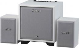 Изображение продукта Roland CM-110-WH акустическая система 2.1