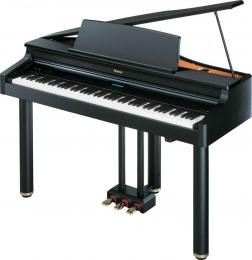 Изображение продукта Roland RG-1 цифровой мини-рояль