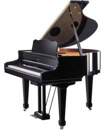 Изображение продукта Roland RG-7 цифровой рояль 