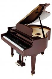 Изображение продукта Roland RG-7-PM цифровой рояль 