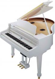 Изображение продукта Roland RG-7-PW цифровой рояль 